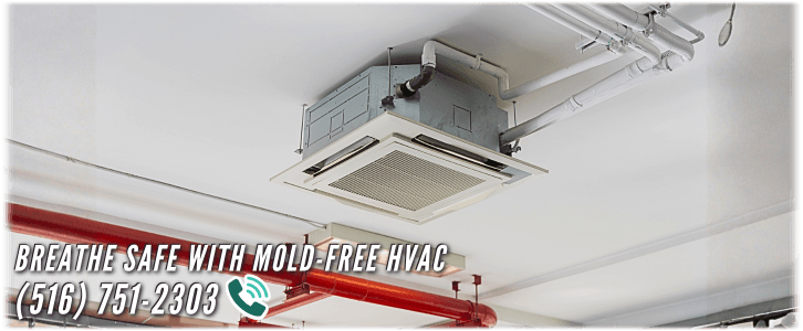 HVAC Mold Removal Long Island